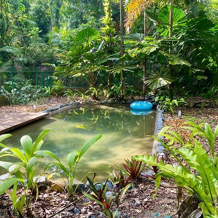 Daintree Siesta Villa Diwan Dış mekan fotoğraf